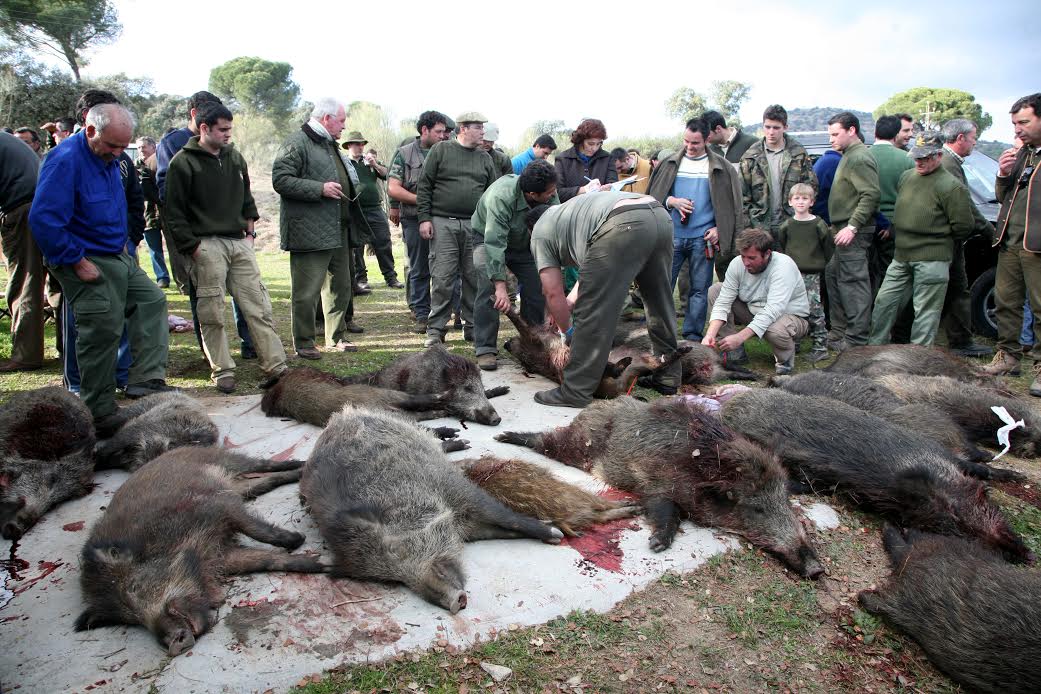 Las monterías gozan en Andújar de mucho predicamento./Ideal