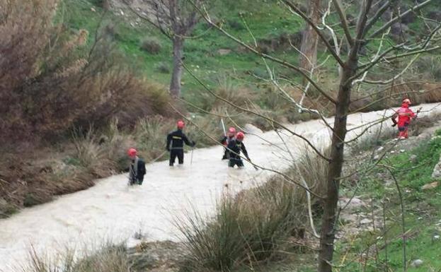 El dispositivo de búsqueda en el que han participado Bomberos de Guadix. /IDEAL GUADIX