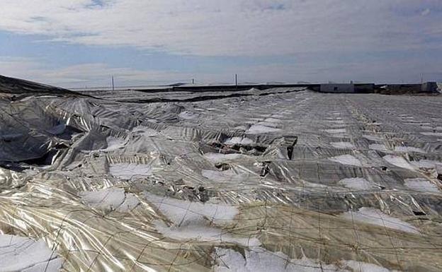 Imagen de archivo de invernaderos en Almería.
