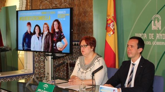 Imagen de archivo./IDEAL