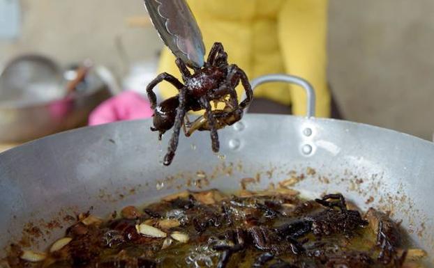 Una turista sostiene una tarántula. /TANG CHHIN Sothy (Afp)