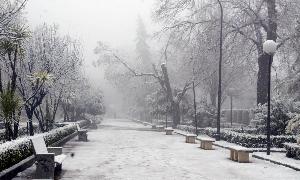 El Parque de la Alameda, nevado hace unos años. IDEAL/
