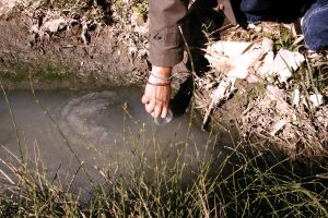 ANÁLISIS. Un técnico toma muestras de aguas fecales en un pueblo de La Vega. / RAQUEL DELGADO/