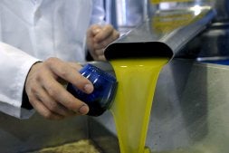 Toman muestras de aceite para una cata. /IDEAL/