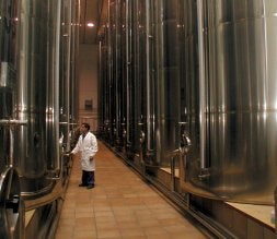 Operario de una almazara controla las bodegas de almacenaje de aceite de oliva./IDEAL/