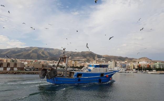 La actividad pesquera se concentra en 20 embarcaciones en Adra. /m. torres