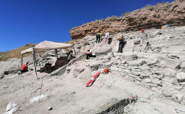 Excavaciones en el yacimiento del Cerro del Real en Galera 