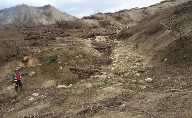 Trabajos para combatir la erosión en el paraje de 'La Cruz del Muchacho' de Quesada que sufrió un incendio forestal./IDEAL
