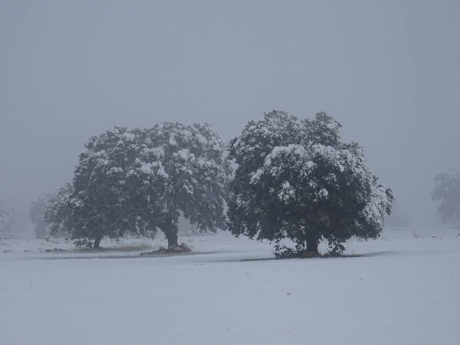 Gorafe, un pueblo bajo la nieve Guadix Ideal