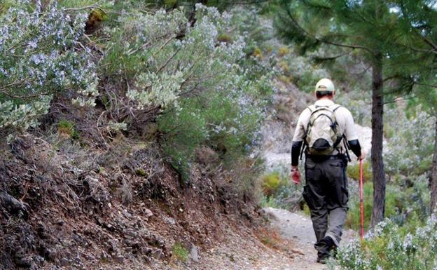 Huétor Vega, Cájar y Monachil organizan una ruta de senderismo por Río Verde