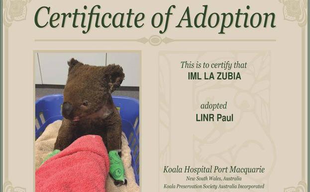 Una Academia De Ingles De La Zubia Adopta Un Koala Ante La Ola De Incendios En Australia La Zubia Ideal