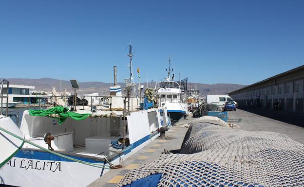 La Junta prepara la renovación del muelle pesquero de Roquetas ante su «grave» deterioro