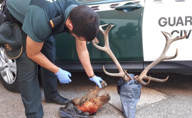 guardia civil alijo de furtivos