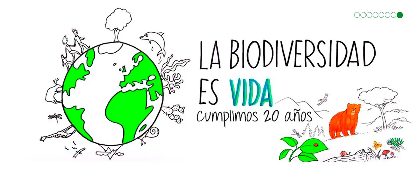 Por Que Es Tan Importante Conservar La Biodiversidad Revista Mira Images 8810