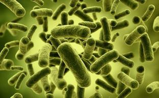 Alertan de que en 2050 la mortalidad por infecciones podría superar al cáncer