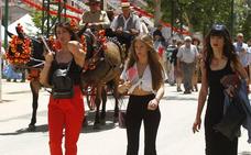 El Ayuntamiento de Granada prepara un plan contra agresiones sexuales en la feria del Corpus