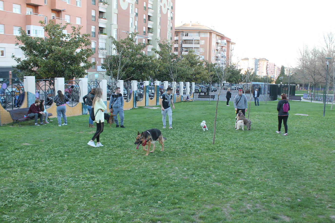 Fotos: El primer parque para perros de Jaén deja estas estampas de domingo |