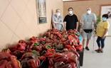 Una asociación de La Alpujarra busca y dona productos del campo para comedores sociales