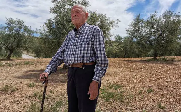 Antonio García Ordóñez, en un olivar de Salar./J. J. HERNÁNDEZ
