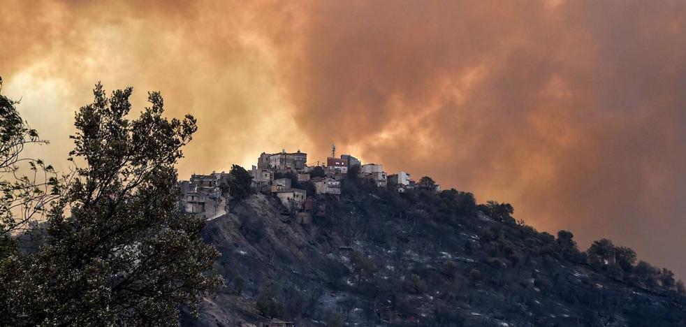 Los incendios en el norte de Argelia se cobran ya 65 vidas - Vimarsana News