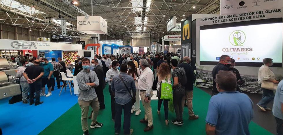 Alfombra verde para pasear y comparar precios - Vimarsana News