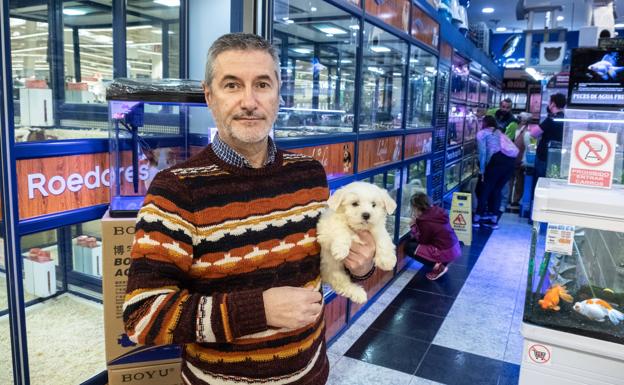 hacha Destilar Una noche Sociedad | La nueva Ley de Protección Animal prohibirá vender mascotas en  tiendas | Ideal