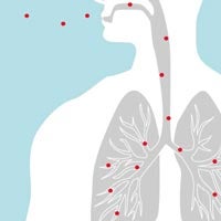 ¿Cómo afecta el virus a los pulmones?