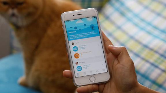 Las 10 app que debes tener en tu móvil si vives en Almería | Ideal Las 10 app que debes tener en tu móvil si vives en Almería | Ideal